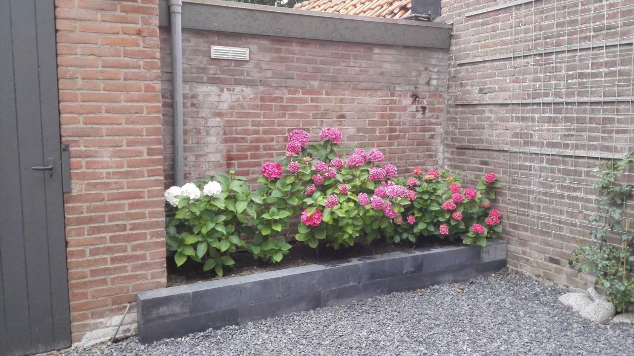 De Notenbalk Aan Zee Vlissingen Exterior photo